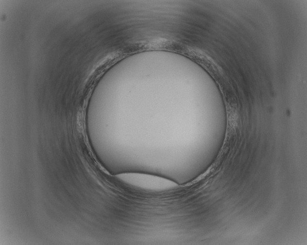 X0000072940591200607210909