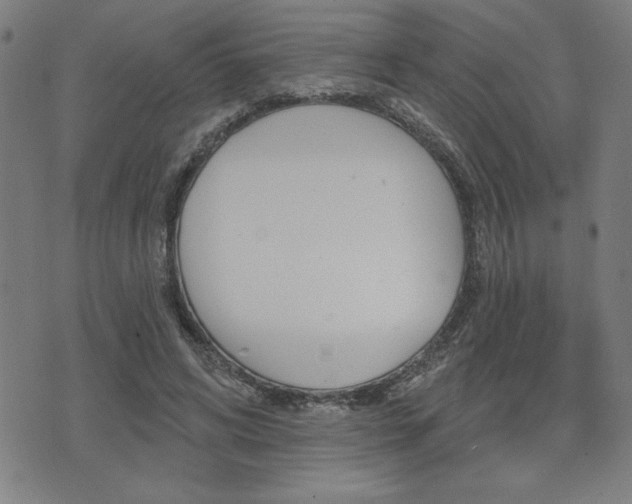 X0000072940592200607210909