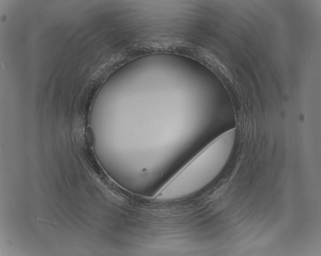 X0000072940593200607210909