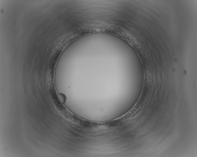 X0000072940594200607210909