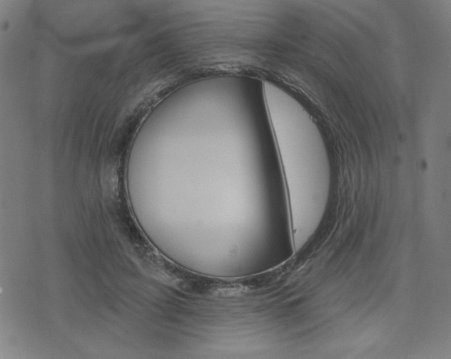 X0000072940595200607210909