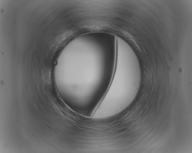 X0000072940596200607210909