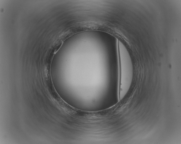 X0000072940597200607210909