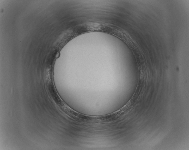 X0000072940598200607210909