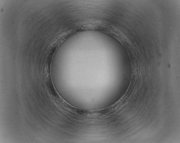 X0000072940599200607210909