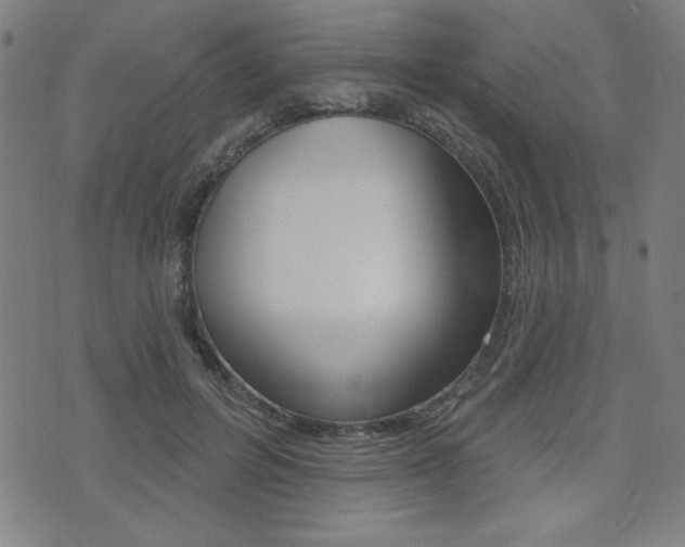 X0000072940600200607210909