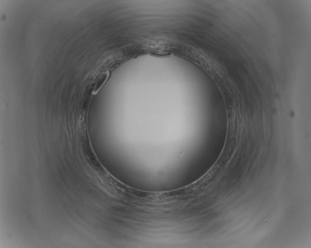 X0000072940601200607210909