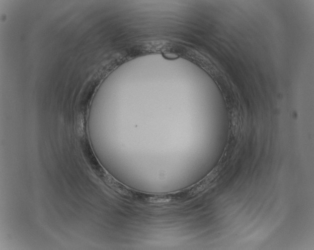 X0000072940602200607210909