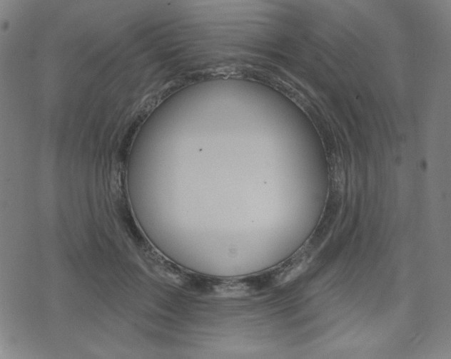 X0000072940603200607210909