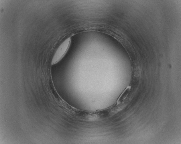 X0000072940604200607210909