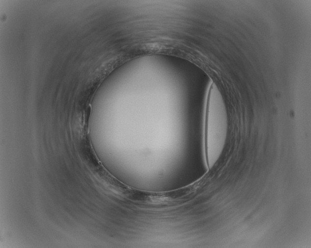 X0000072940605200607210909