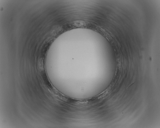 X0000072940606200607210909