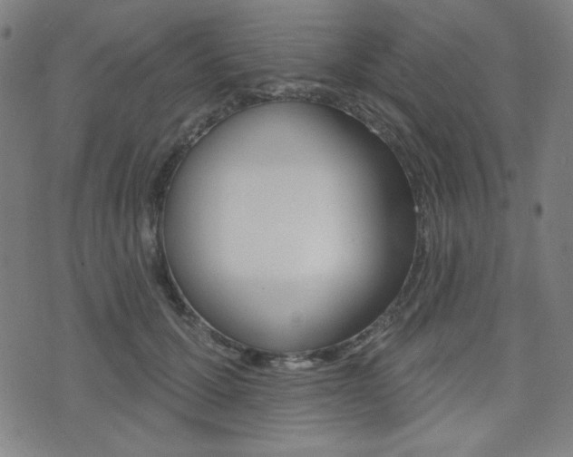 X0000072940607200607210909