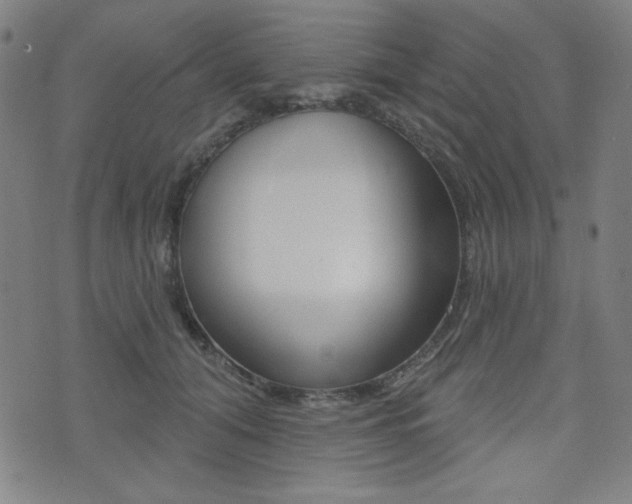 X0000072940608200607210909