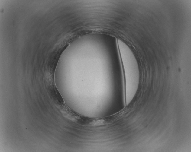 X0000072940609200607210909