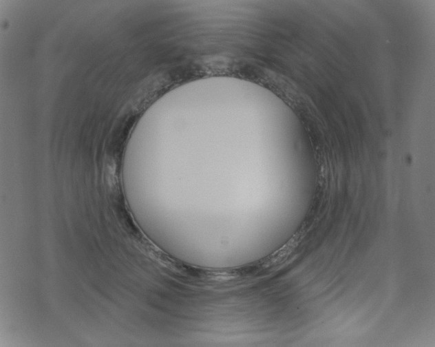 X0000072940610200607210909