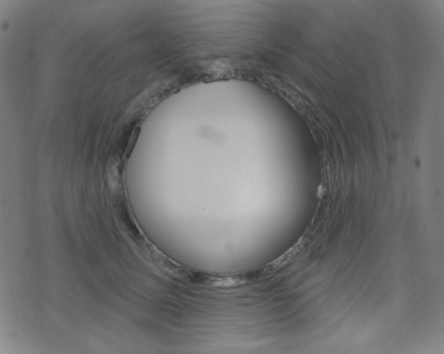 X0000072940611200607210909