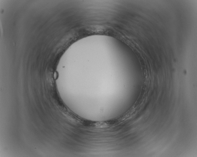 X0000072940612200607210909