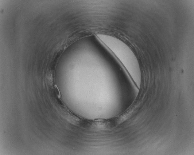 X0000072940613200607210909