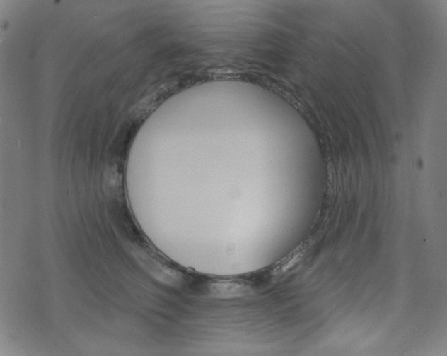 X0000072940614200607210909