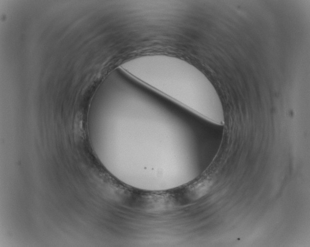 X0000072940615200607210909