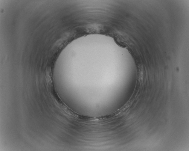 X0000072940616200607210909