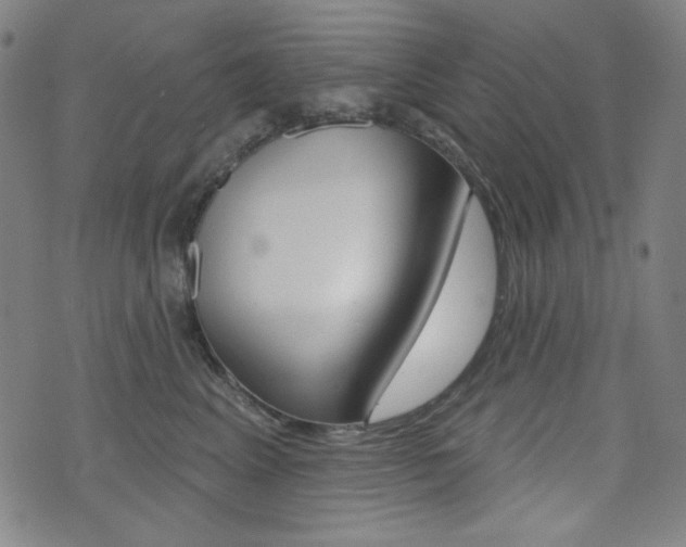 X0000072940617200607210909