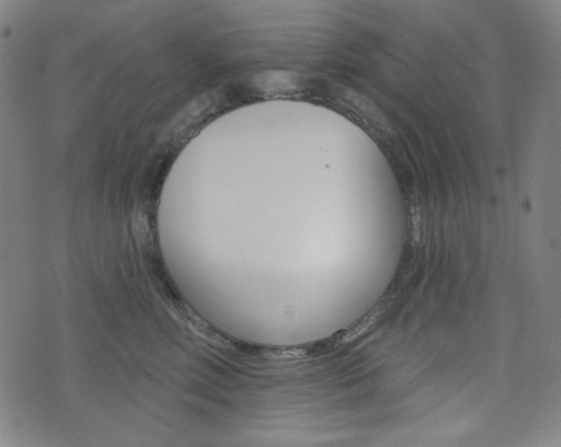 X0000072940618200607210909