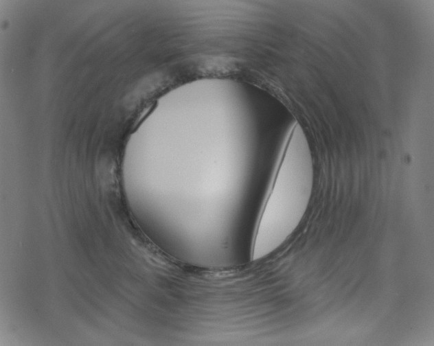 X0000072940619200607210909