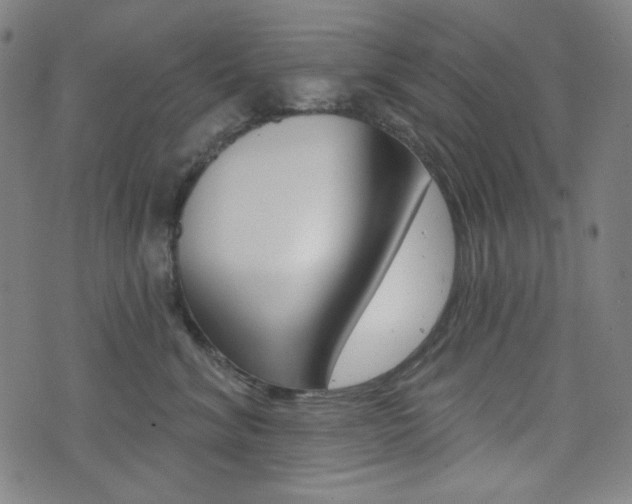 X0000072940620200607210909