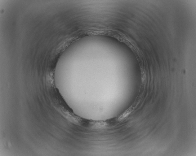 X0000072940621200607210909