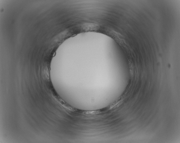 X0000072940622200607210909