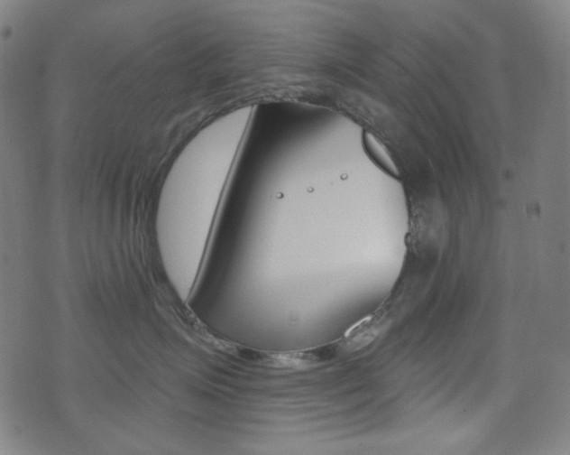 X0000072940623200607210909