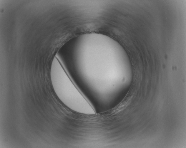 X0000072940624200607210909