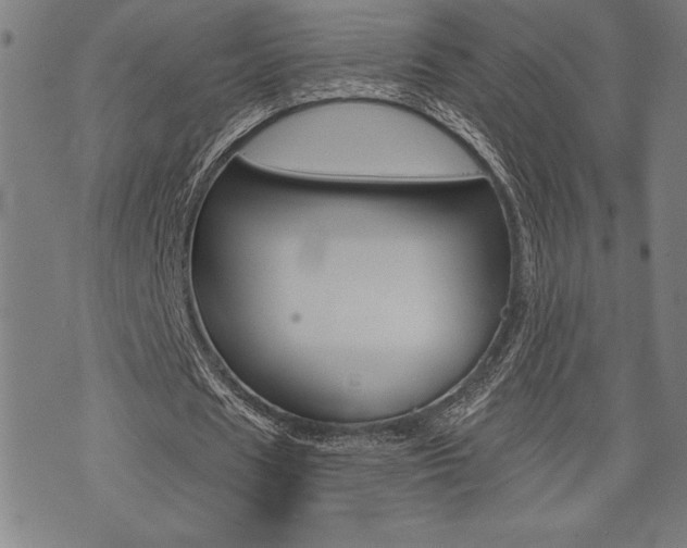 X0000072940625200607210908