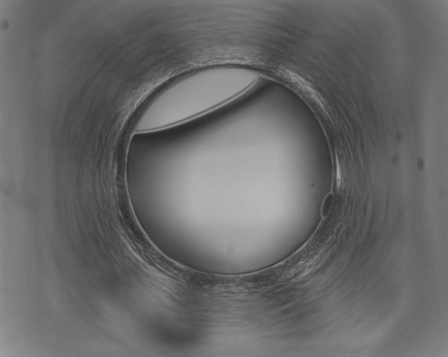 X0000072940627200607210908