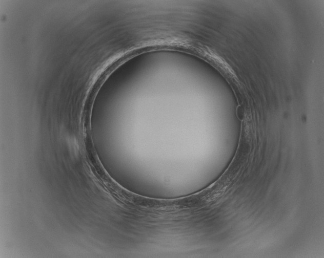 X0000072940628200607210908