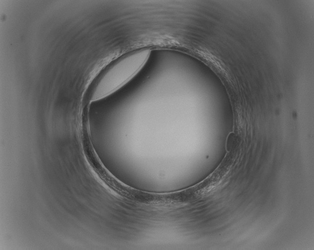 X0000072940630200607210908