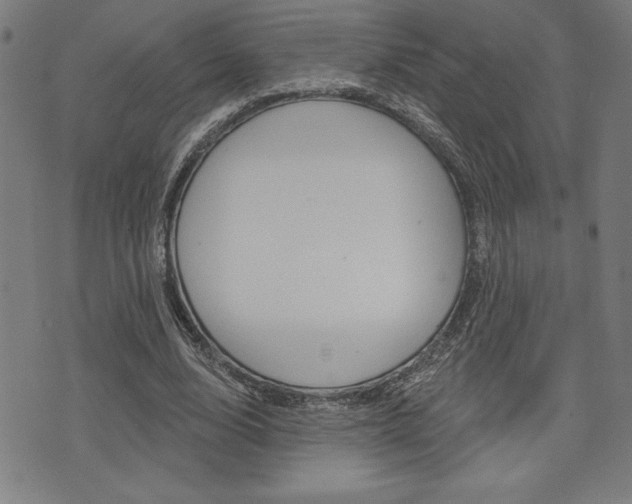 X0000072940632200607210908