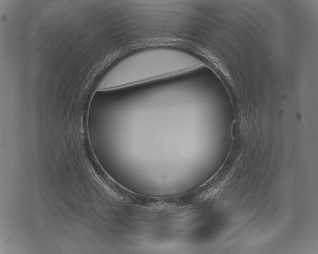 X0000072940633200607210908