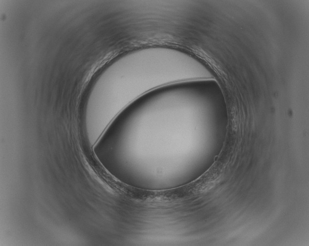 X0000072940634200607210908