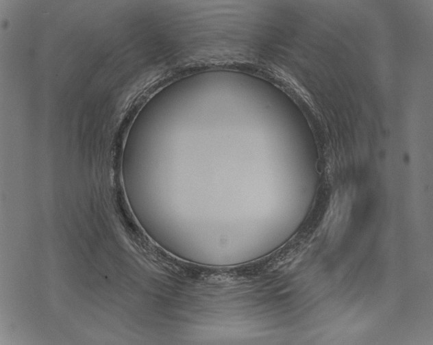 X0000072940635200607210908