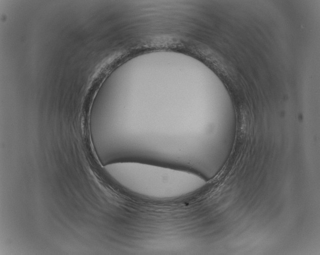 X0000072940636200607210908