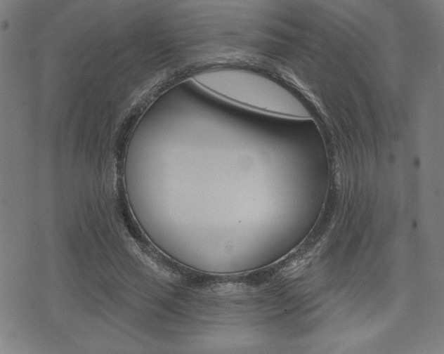 X0000072940637200607210908