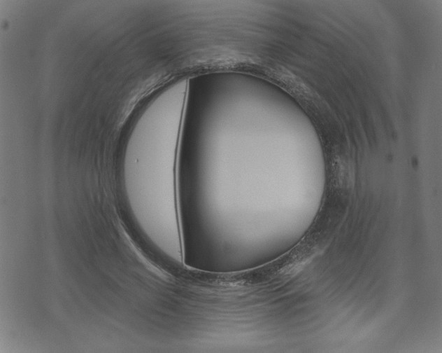 X0000072940638200607210908