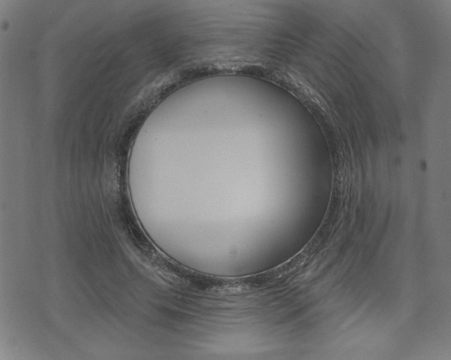 X0000072940639200607210908