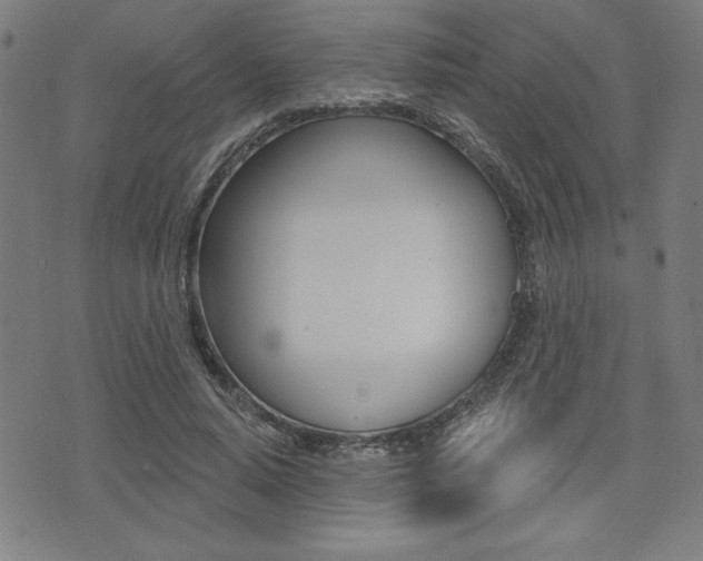 X0000072940640200607210908