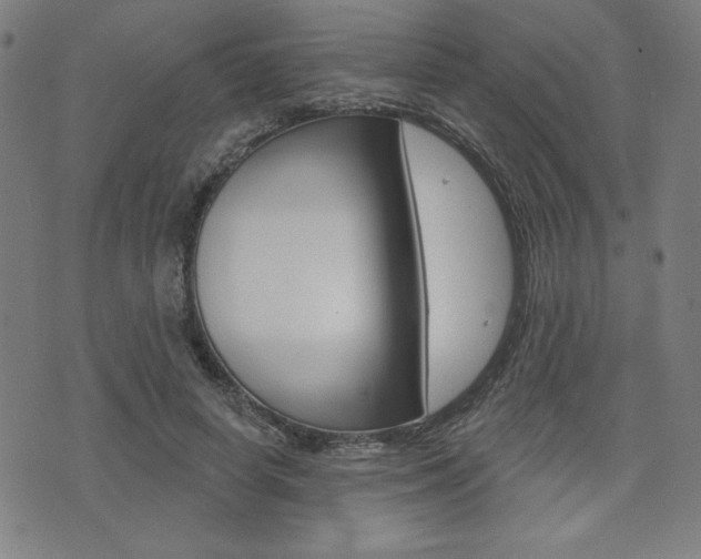 X0000072940642200607210908