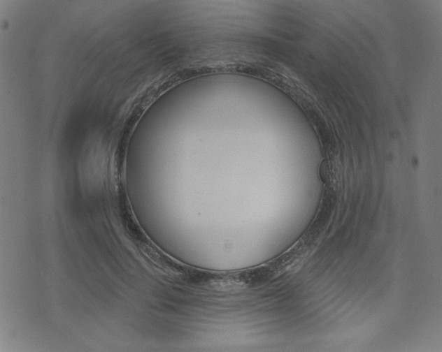 X0000072940644200607210908