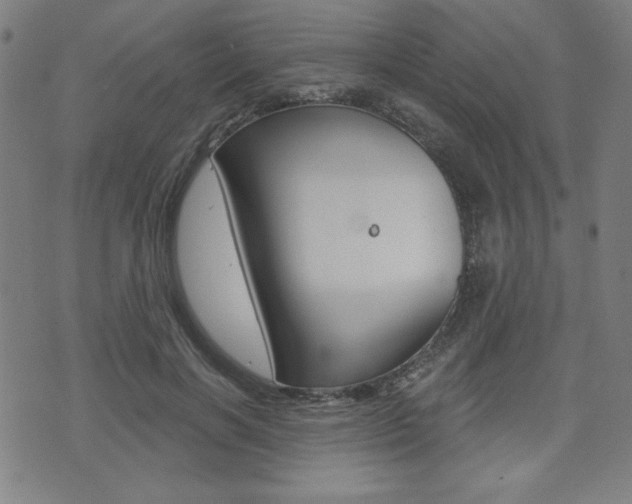 X0000072940646200607210908